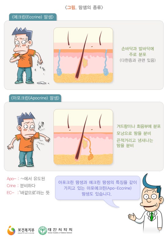겨드랑이 다한증, 액취증까지 동반될 경우 [분당다한증한의원/분당다한증병원/분당다한증피부과]