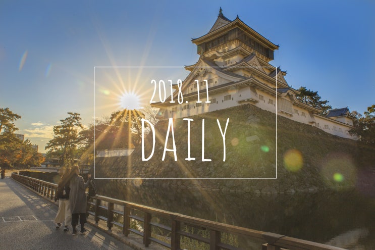 2018년 11월 일상, 게을러도 괜찮아