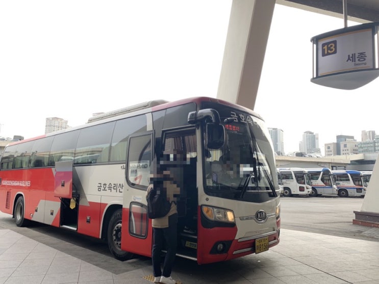 [정부세종청사] 서울에서 세종정부청사 다녀오기 / 고속버스 예약 + 터미널 위치 + 버스타는 곳