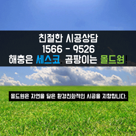 곰팡이 제거 결로문제 해결 알아보다가 몰드원 찾았어요.
