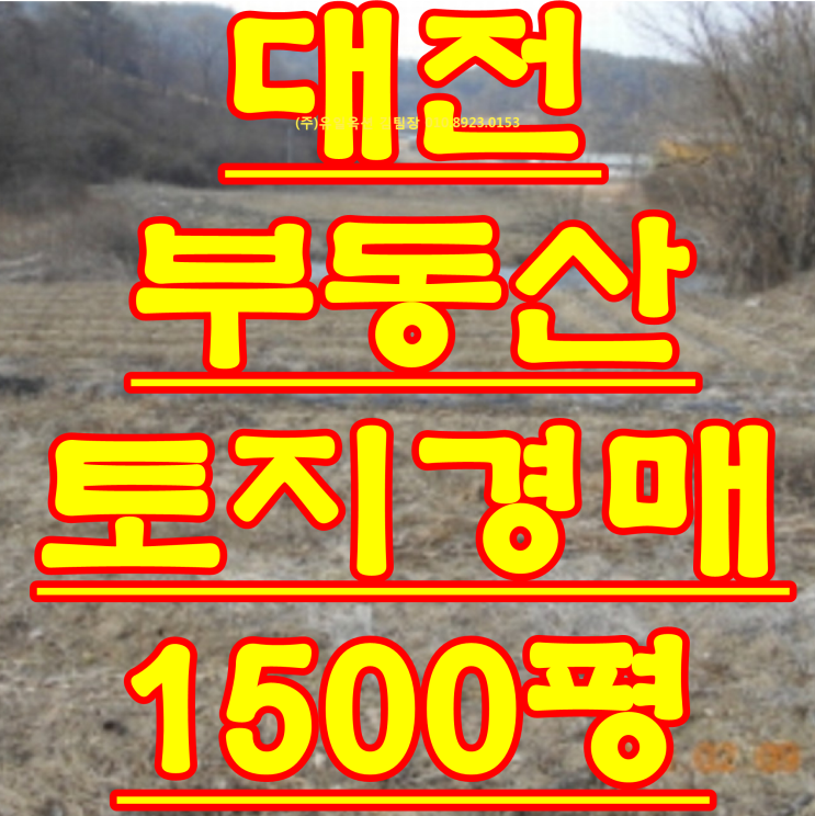 대전 토지 경매 원정동 부동산 경매 물건 2018 타경 1889