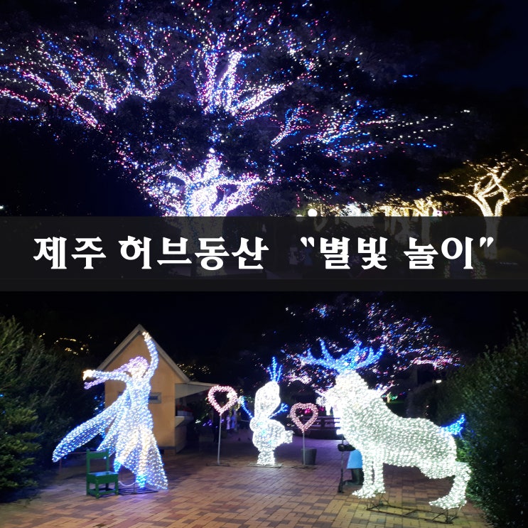  [제주 야간명소] 제주도 동부 관광지 - 허브동산 야간 "별빛놀이"
