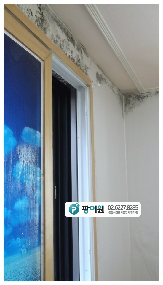  벽지 곰팡이제거 전 결로현상 확인!
