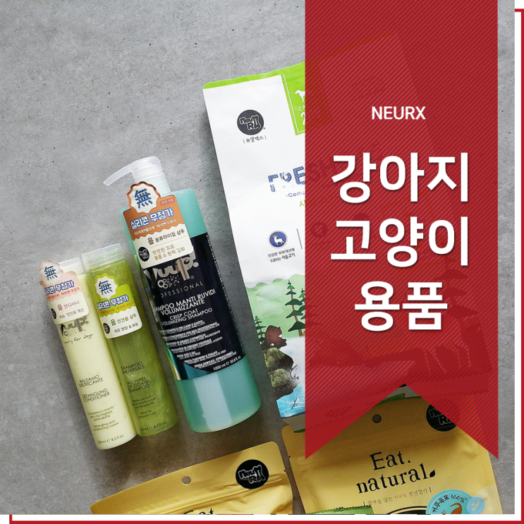  뉴알엑스 댕댕이 택배 도착 신난드아!