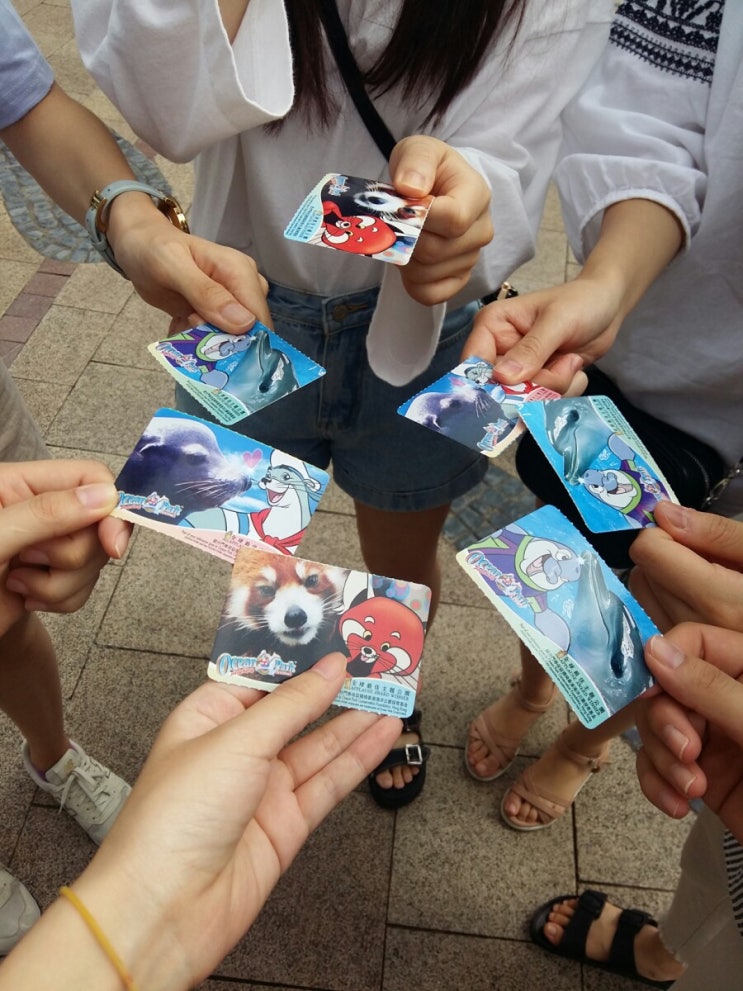  [홍콩교환학생]홍콩오션파크 ocean park