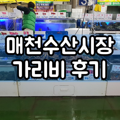  대구 매천수산시장 가리비 구매 후기