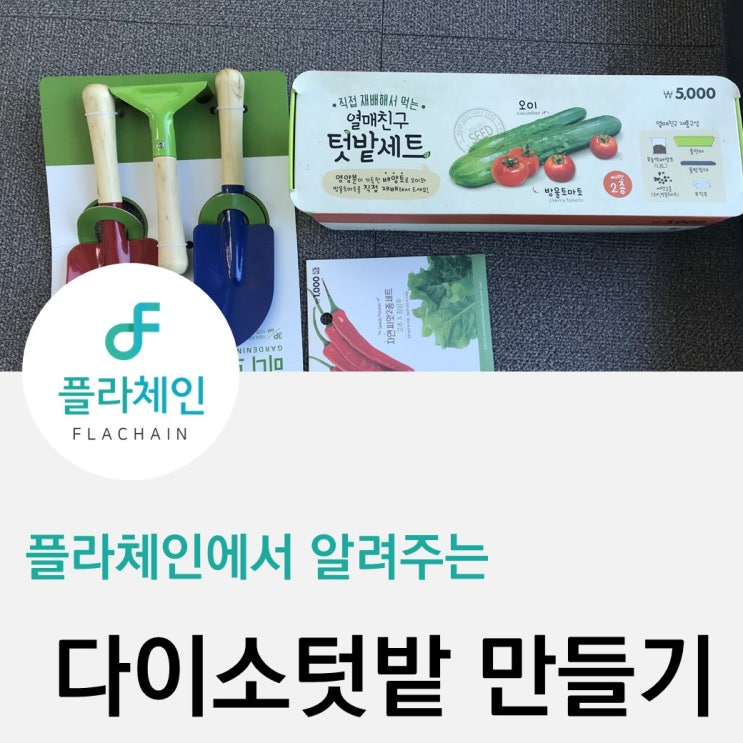  [플라체인] 다이소 텃밭세트 구매 리뷰 1탄