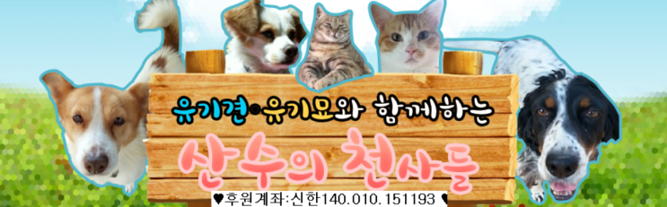  인천 산수천 유기견 보호소 봉사 신청 방법