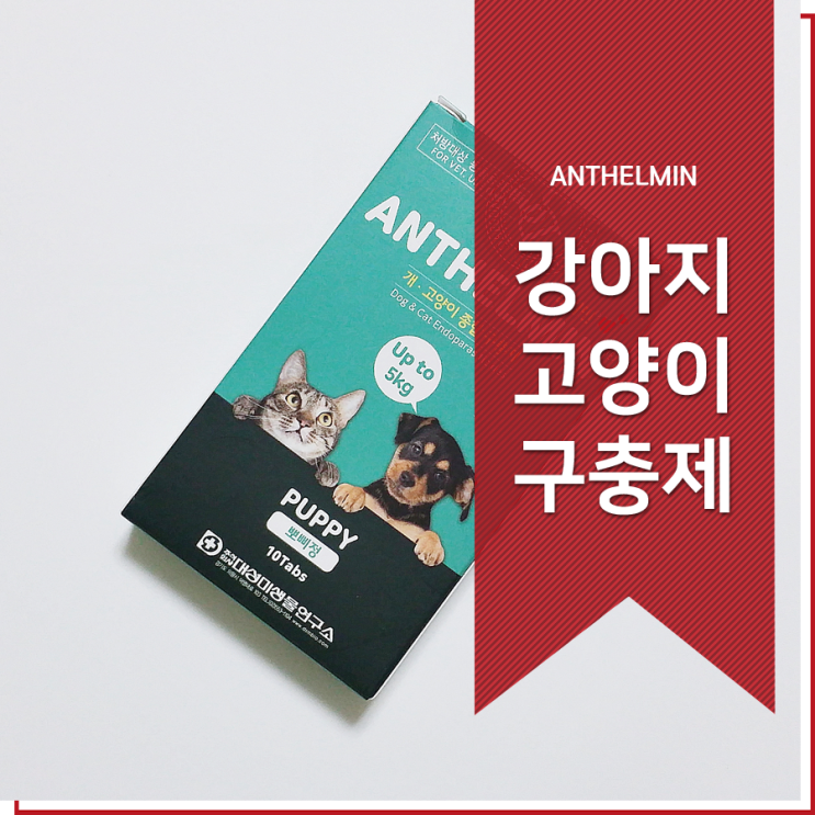 강아지 구충제 회충약 가격 엄청 싸네