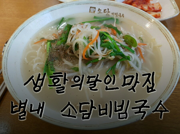  별내 혼밥 소담비빔국수 솔직후기