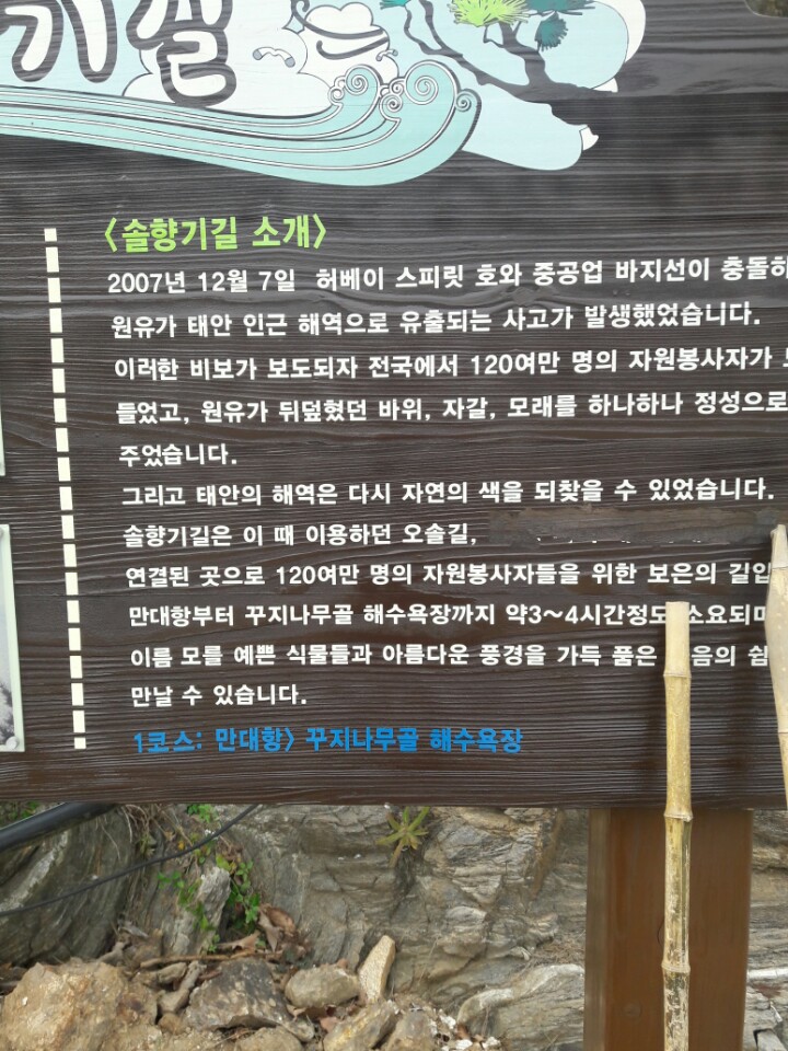  태안 가볼만한 곳 솔향기길 입니다.