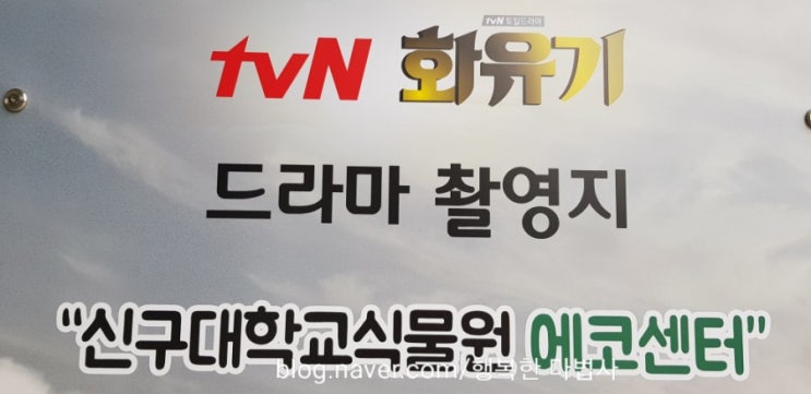  tvN<화유기>에서 이승기의 집,데이트코스,불빛축제의 공통점은? 가볼만한 곳, 신구대학교식물원~^^