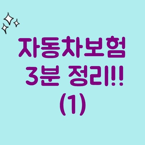  차보험 알아야 할 것 (운전자 한정)