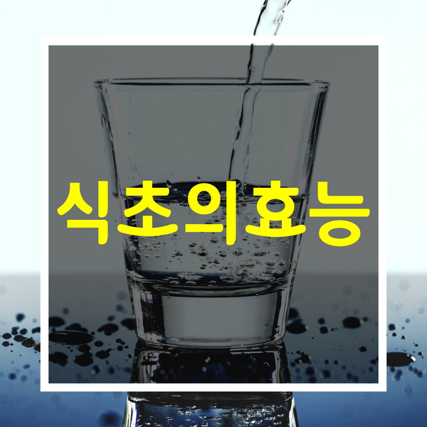  식초의 효능에 대해 알아볼께요