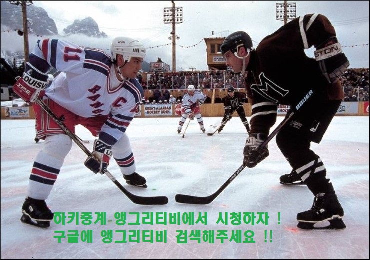  하키중계 앵그리티비에서 시청하자