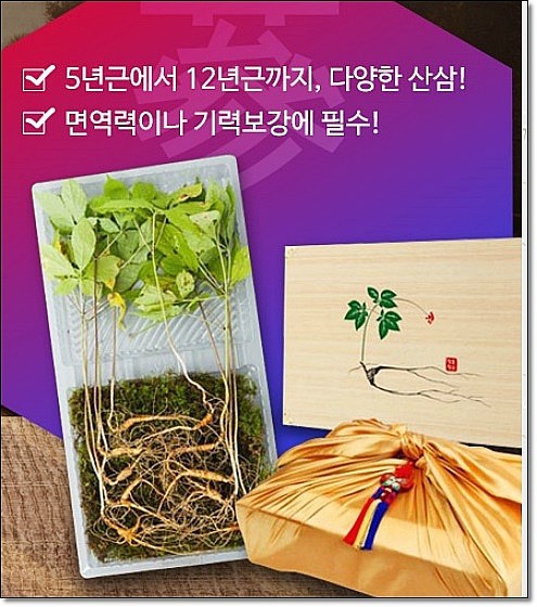 원기회복, 면역력증진등에 좋은 산삼의효능, 이제 산양산삼을 산삼라이프에서 만나보세요,,