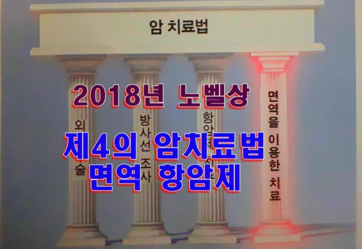 패러다임 바꾼 2018년<b>노벨 생리의학상</b> '제4의 <b>암 치료</b>법'