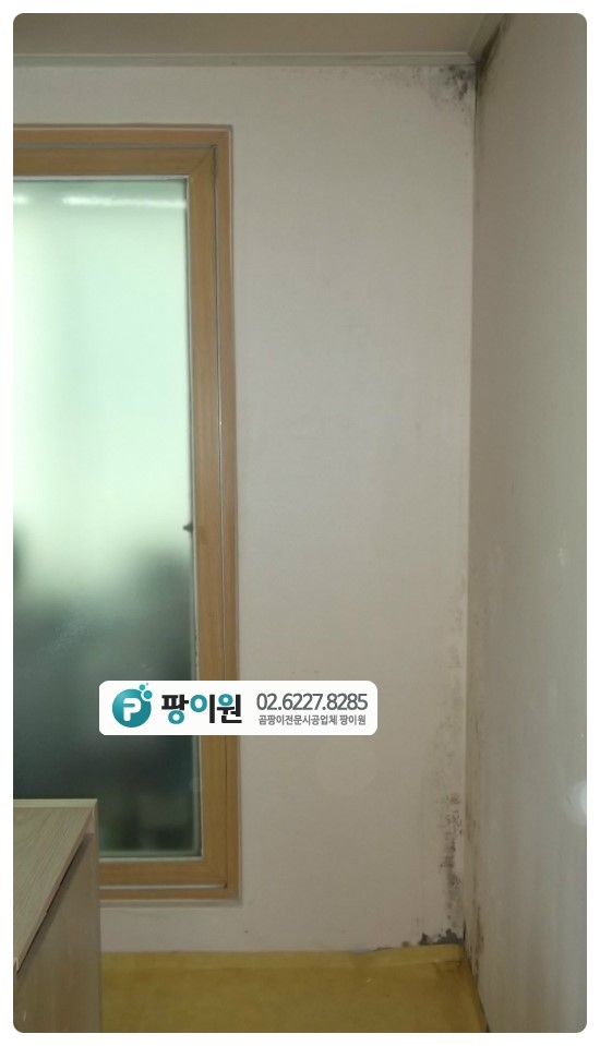  집 곰팡이제거 완전 해결!!!