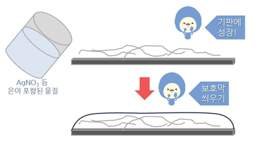  은나노와이어 Agnw Hot한 소재를 파헤치자 - 1