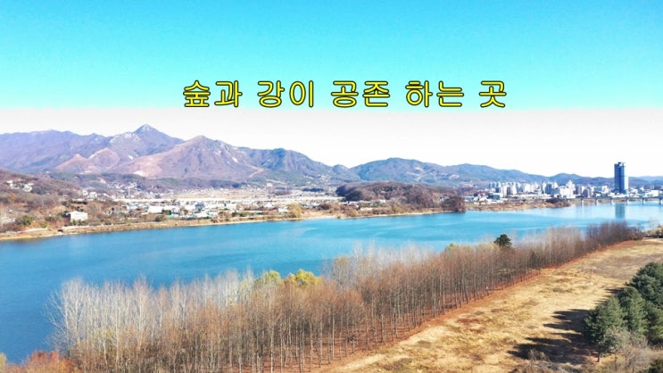  양평토지매매 한 번 보고 결정 할 수 있으면 좋겠는데... 양평 땅