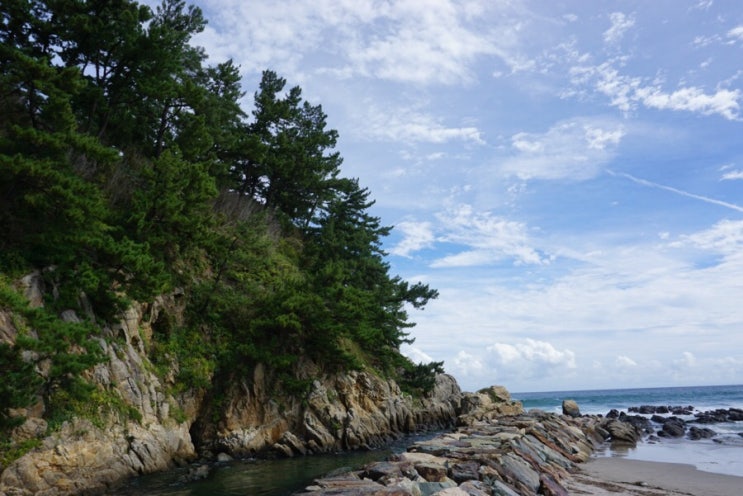  경북 울진여행 1탄: 왕돌회센타/중궁전/울진 북면 바다
