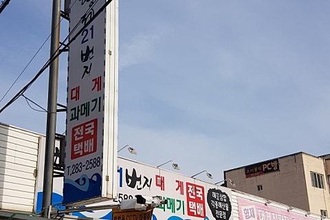 오도힐 이미지