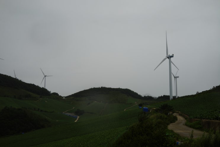  우리나라 명산 100곳 등산 도전기 82.덕항산 등산, 바람의 언덕 귀네미마을 - 마늘로드강원도 10