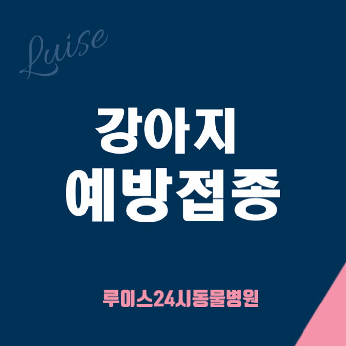  청라동물병원 강아지예방접종에 대해서