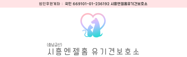  충남 금산 유기견 보호소 봉사 신청 방법