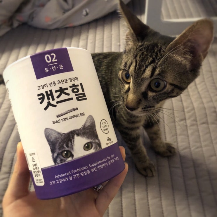 [캣츠힐] 고양이의, 고양이를 위한, 고양이에 의한, 고양이 전용 유산균 영양제!