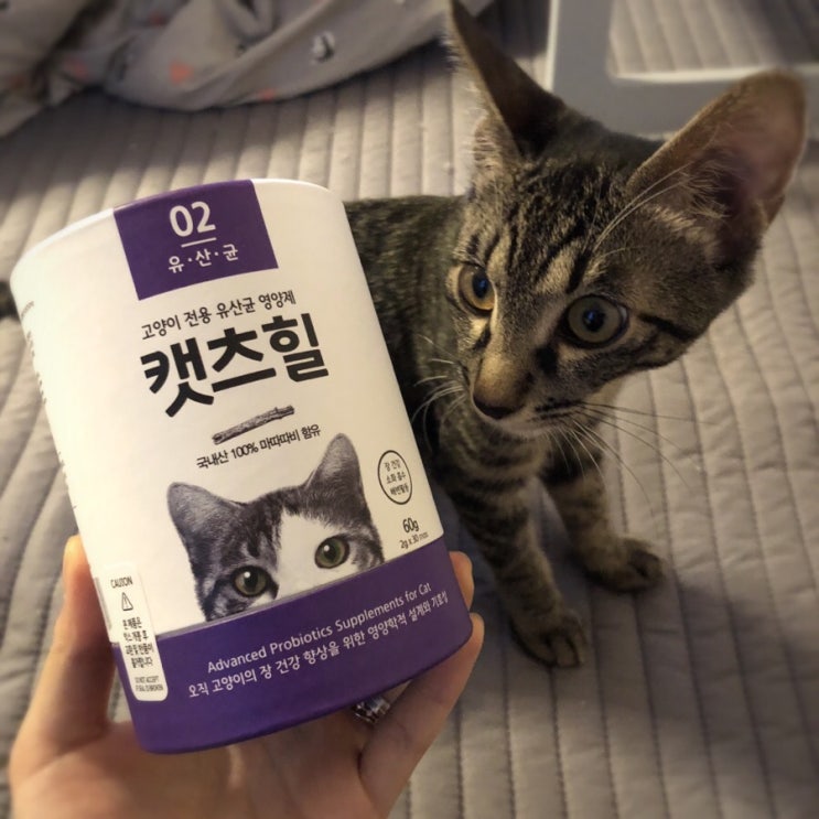  [캣츠힐] 고양이의, 고양이를 위한, 고양이에 의한, 고양이 전용 유산균 영양제!