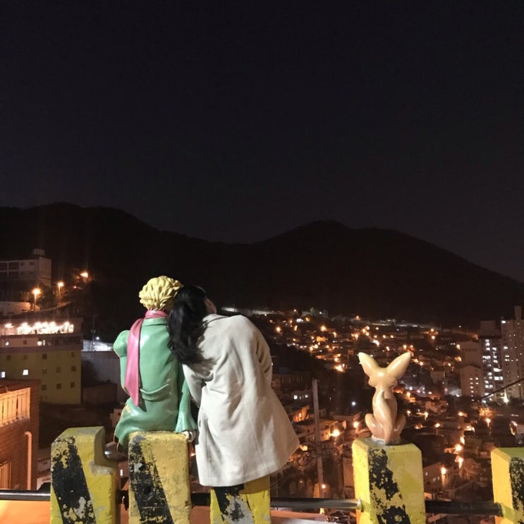  [부산여행 2.5일차: 부산 예쁜 야경명소 감천문화마을 벽화 어린왕자] 길냥이들 천국