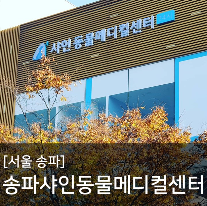  강아지수중런닝머신 '조이풀'존 서울 송파 수중재활 샤인동물메디컬센터
