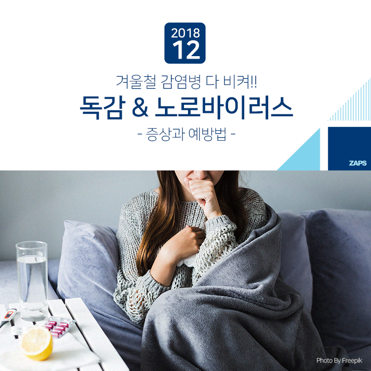  겨울철 감염병 다 비켜!! 독감 & 노로바이러스 :: 증상과 예방법