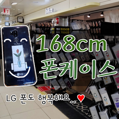  168cm 케이스 부평 오프라인매장 방문기