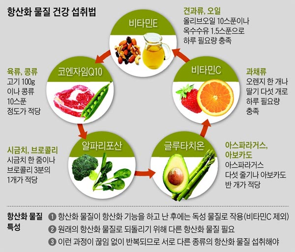 현재 먹는 영양제 - 항산화용(18년 12월 기준)