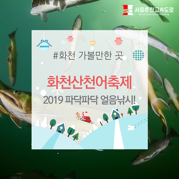  화천산천어축제 : 2019 파닥파닥 얼음낚시!