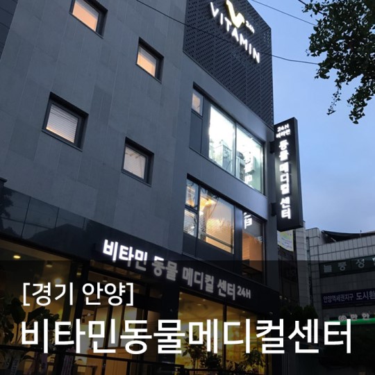  강아지수중재활'조이풀'ZONE 경기 안양 비타민동물메디컬센터