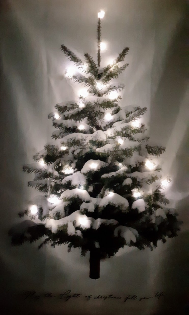  Merry Christmas!!!