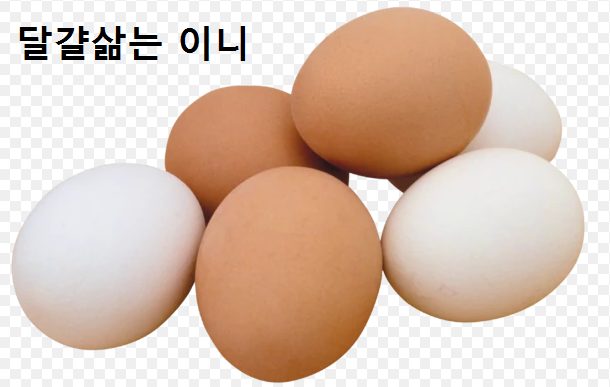  달걀삶는방법 정복하기!!!