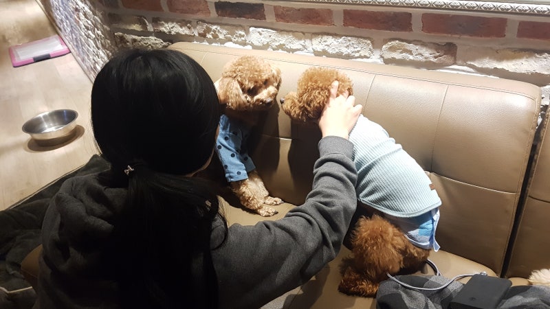 사진 2