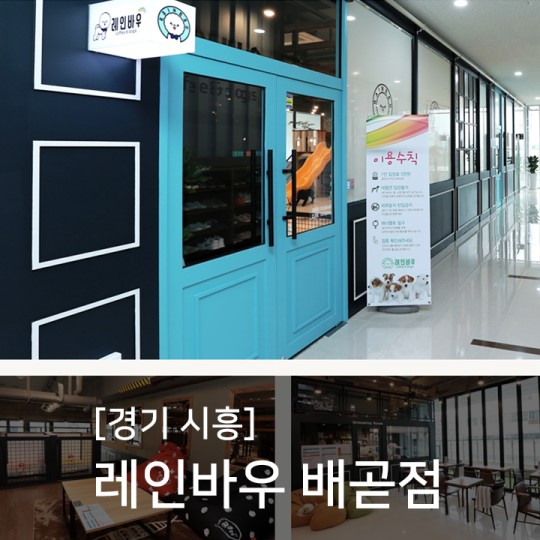  댕댕아 수중런닝하러가자! '조이풀'ZONE 경기 시흥 배곧신도시 레인바우 시흥배곧점