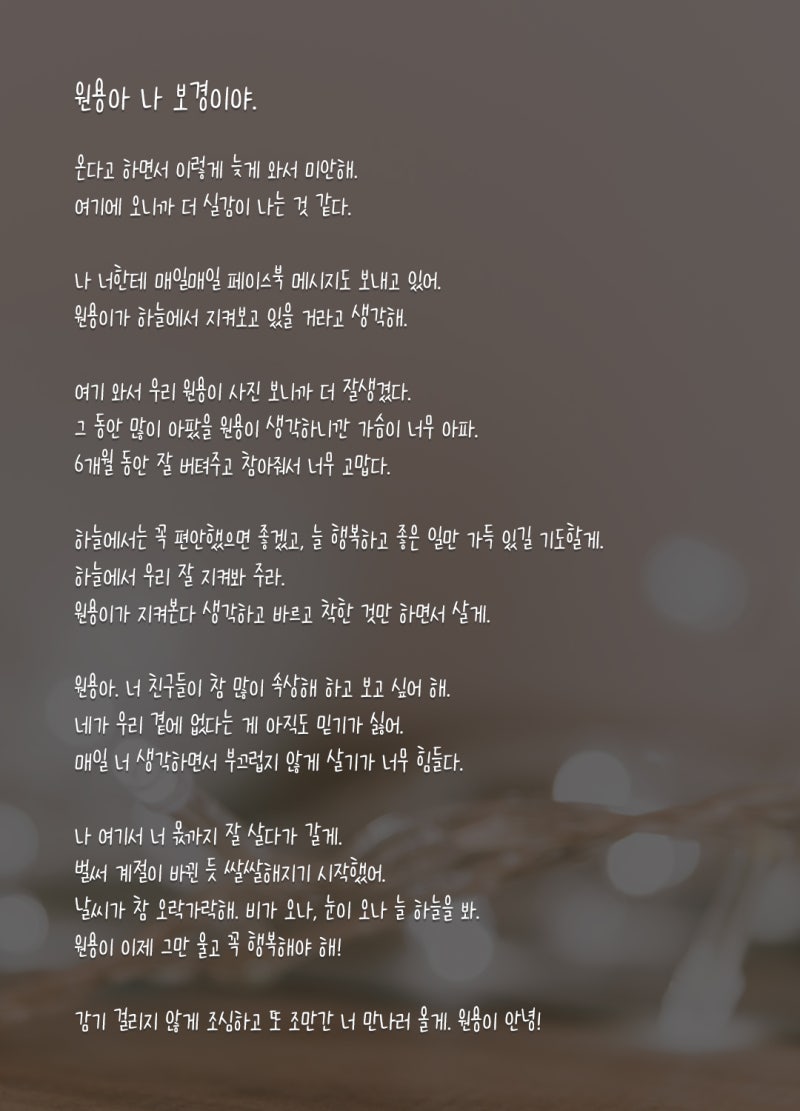 추모공원 하늘문 \u003c원용아\u003e : 네이버 블로그, image size:800x1111