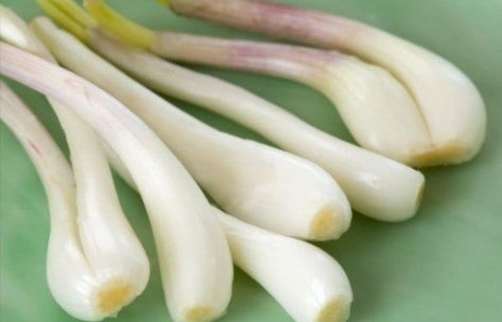 락교의 재료는 무엇으로 만드는 것인지 알아볼게요 : 네이버 블로그 락교의 재료는 무엇으로 만드는 것인지 알아볼게요 : 네이버 블로그