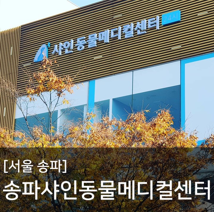 신규 조이풀존을 소개합니다. 슬개골탈구 수중재활전문병원 서울 송파 샤인동물메디컬센터