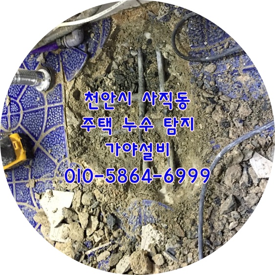  천안누수 천안주택누수 천안시 동남구 사직동 2층주택누수탐지 아랫층으로 물이떨어져요