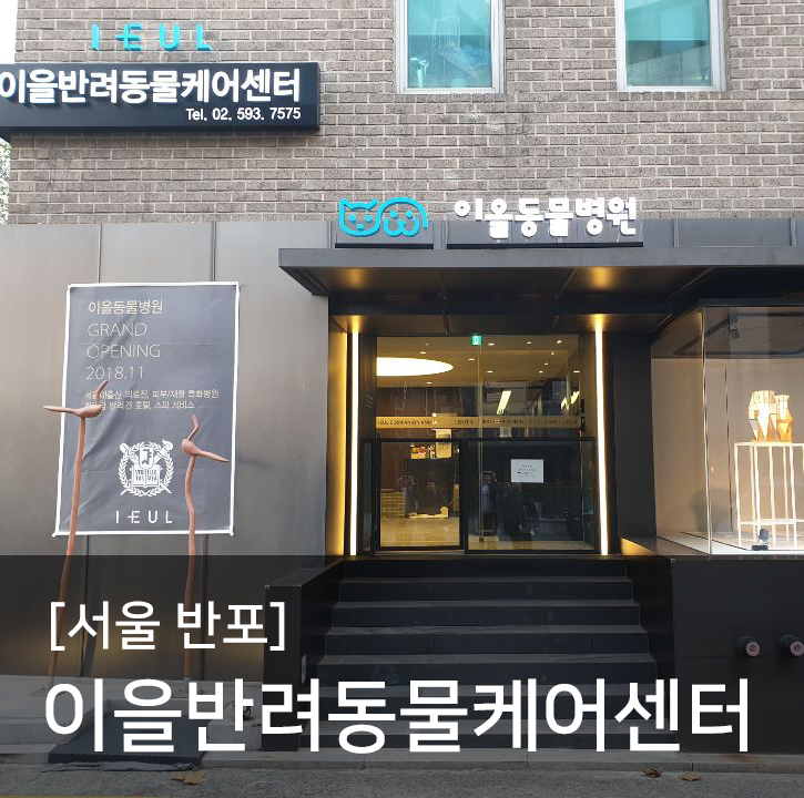  강아지수중런닝머신 '조이풀'ZONE 소개, 서울이을반려동물케어센터