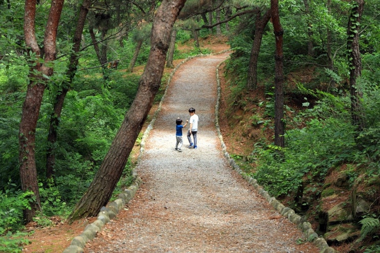  상주 부흥식당 + 경천대 + 자전거 박물관