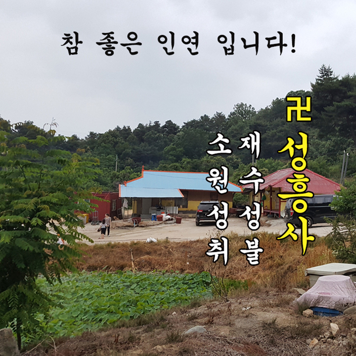  #논산점집 성흥사! #신년운세 나가는 삼재 상담