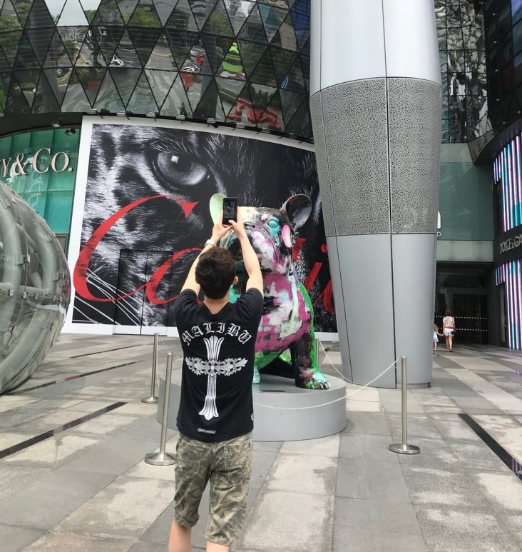  [싱가포르여행 2탄] 프렌치불독 편!